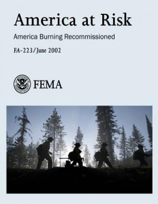 Könyv America at Risk: America Burning Recommissioned (FA-223) U S Department of Homeland Security