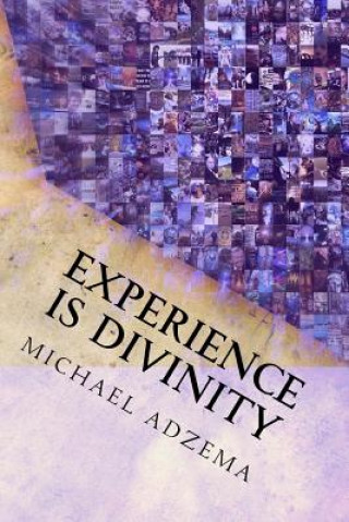 Kniha Experience Is Divinity: Matter As Metaphor Michael Adzema