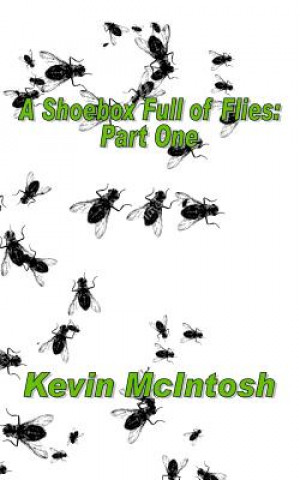 Carte A Shoebox Full Of Flies: Part One MR Kevin D McIntosh