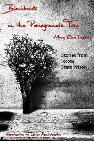 Knjiga Blackbirds in the Pomegranate Tree: Stories from Ixcotel State Prison Mary Ellen Sanger