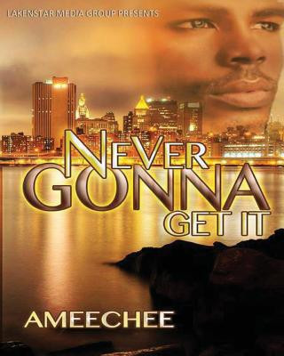 Buch Never Gonna Get It Ameechee