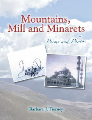 Kniha Mountains, Mill and Minarets Barbara J Tierney