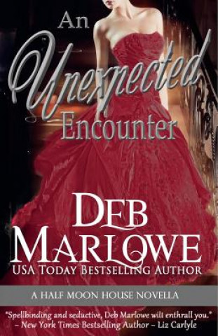 Könyv An Unexpected Encounter: Half Moon House Novella 1 Deb Marlowe