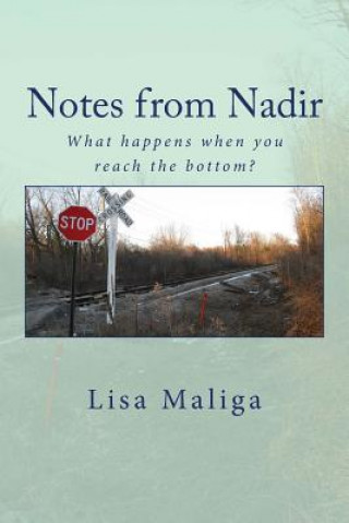 Könyv Notes from Nadir Lisa Maliga
