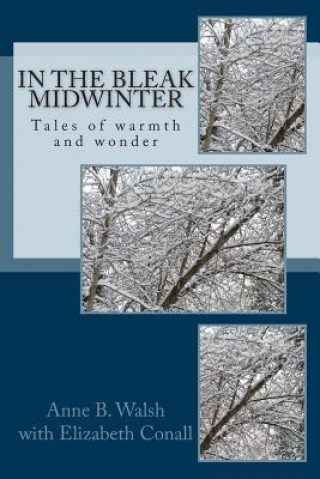 Könyv In the Bleak Midwinter: Tales of warmth and wonder Anne B Walsh