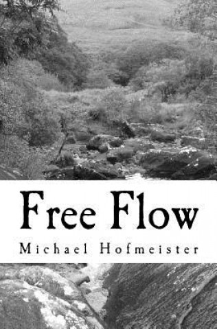 Kniha Free Flow Michael Hofmeister