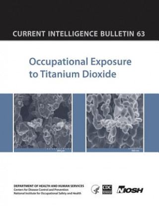 Carte Occupational Exposure to Titanium Dioxide: Current Intelligence Bulletin 63 Department of Health and Human Services