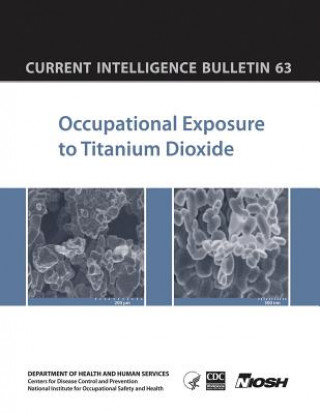 Knjiga Occupational Exposure to Titanium Dioxide: Current Intelligence Bulletin 63 Department of Health and Human Services