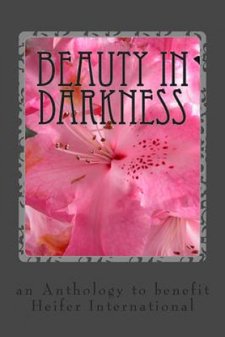 Kniha Beauty in Darkness: an Anthology to benefit Heifer International Stephanie Rabig