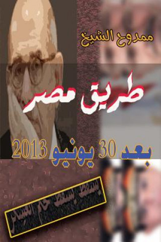 Kniha Egypt After June 30, 2013 Mamdouh Al-Shikh