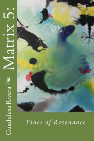 Könyv Matrix 5: Tones of Resonance Guadulesa Rivera