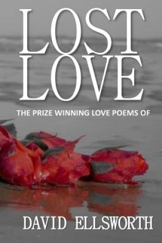 Kniha Lost Love Poems: Words a woman should hear, not read David Ellsworth