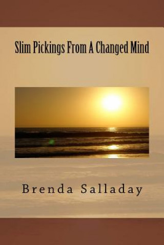 Книга Slim Pickings From A Changed Mind Brenda Salladay