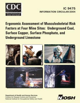 Buch Ergonomic Assessment of Musculoskeletal Risk Factors at Four Mine Sites: Underground Coal, Surface Copper, Surface Phosphate, and Underground Limeston William J Wiehagen