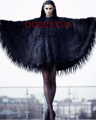 Buch Occultus Winter Laake