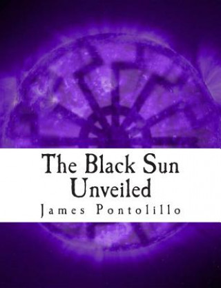 Kniha The Black Sun Unveiled: Genesis and Development of a Modern National Socialist Mythos James Pontolillo