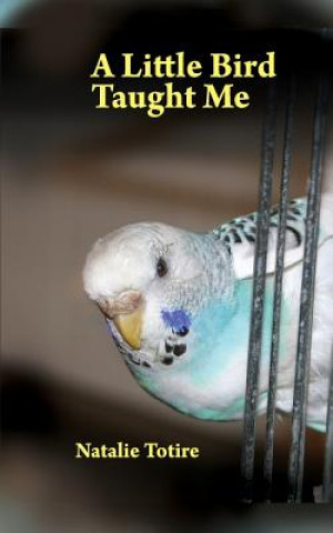 Kniha A Little Bird Taught Me: Inspirations from a parakeet MS Natalie J Natalie