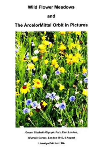Könyv Wild Flower Meadows and the Arcelormittal Orbit in Pictures Llewelyn Pritchard Ma