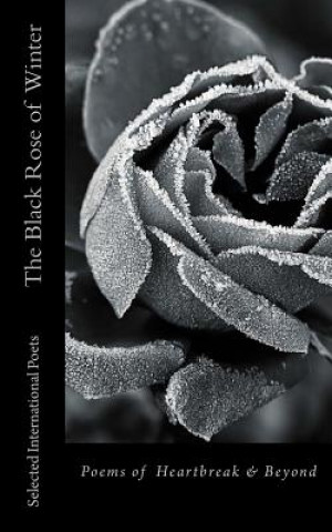 Carte The Black Rose of Winter Rainbow Reed