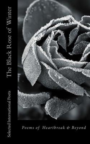 Libro The Black Rose of Winter Rainbow Reed