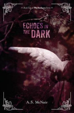 Kniha Echoes In the Dark: Book Two in the Darkness Series A S McNair