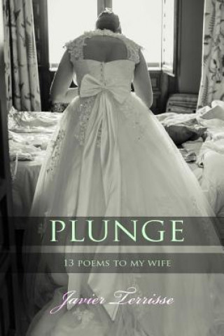Kniha Plunge: 13 Poems To My Wife Javier Terrisse