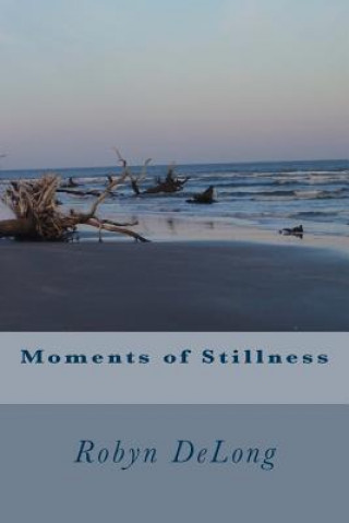Kniha Moments of Stillness Robyn DeLong