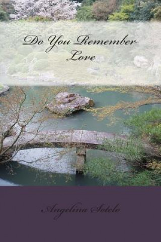 Buch Do You Remember Love Angelina M Sotelo