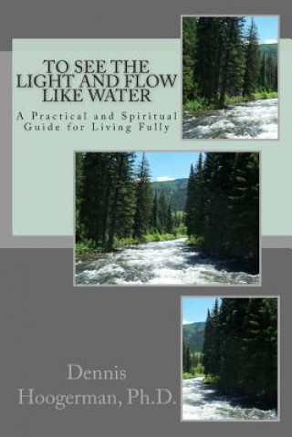 Boek To See the Light and Flow like Water: A Practical & Spiritual Guide for Living Fully Dennis Hoogerman Ph D
