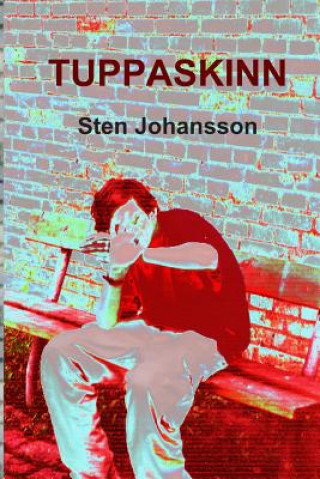 Kniha Tuppaskinn: Noveller Sten Johansson