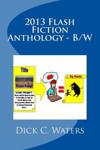 Kniha 2013 Flash Fiction Anthology - B/W: 41 "One Minute Reads" Dick C Waters