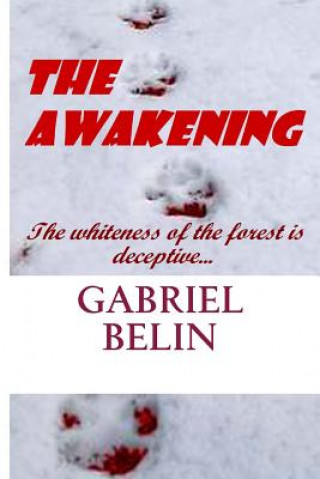 Buch The Awakening Gabriel Belin