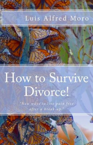 Könyv How to Survive Divorce!: New ways to live pain free after a break up. Luis Alfred Moro