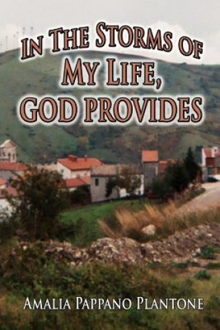 Könyv In the Storms Of My Life, God Provides Amalia Pappano Plantone
