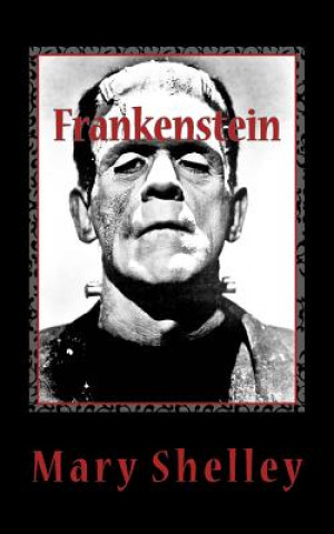 Könyv Frankenstein: Or, The Modern Prometheus Mary Wollstonecraft Shelley