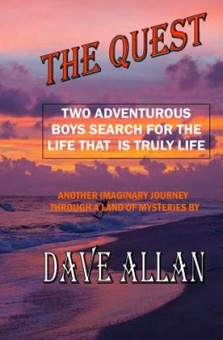 Boek The Quest Dave Allan