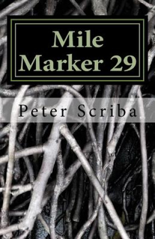 Книга Mile Marker 29 Peter Scriba