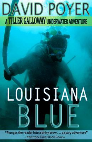 Kniha Louisiana Blue David Poyer