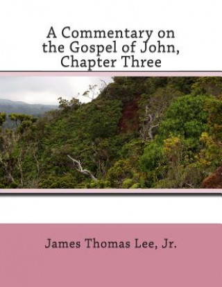 Książka Commentary on the Gospel of John, Chapter Three MR James Thomas Lee Jr