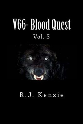 Kniha V66- Blood Quest Vol. 5 Domino