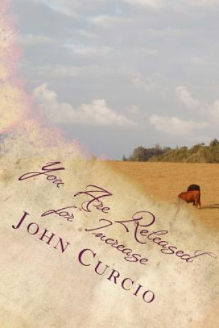 Carte You Are Released for Increase Rev John M Curcio