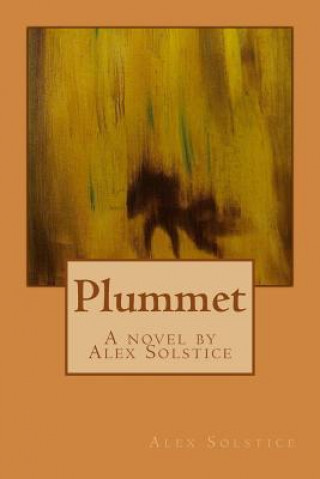 Knjiga Plummet Alex Solstice