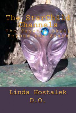 Carte The StarChild Channels: The Crystal Skull from Beyond the Stars Joshua Shapiro
