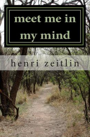 Könyv meet me in my mind Henri Zeitlin