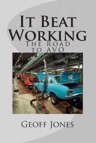 Kniha It Beat Working: The Road to AVO Geoff Jones