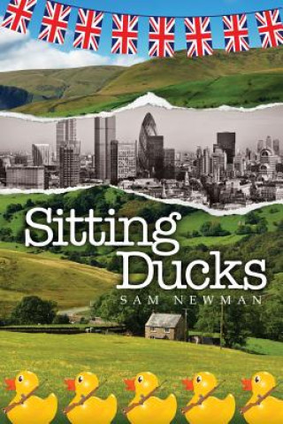 Kniha Sitting Ducks Sam Newman
