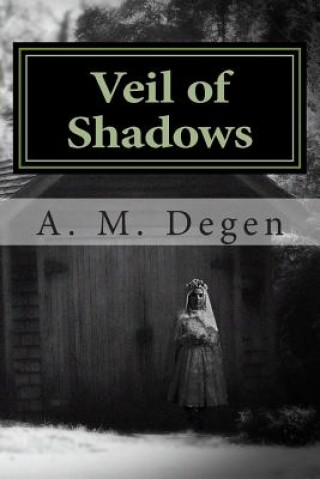 Kniha Veil of Shadows A M Degen