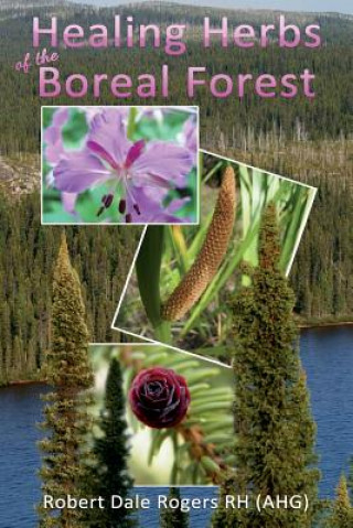 Kniha Healing Herbs of the Boreal Forest: Sacred and Medicinal Plants Robert Dale Rogers Rh