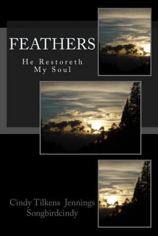 Kniha Feathers: He Restoreth My Soul Cindy Tilkens Jennings