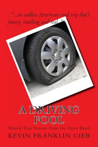Carte A Driving Fool: Mostly True Stories from the Open Road Kevin Franklin Gieb